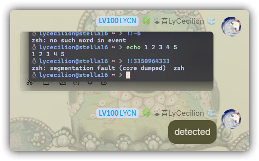 如果是 Zsh 里套 Zsh，则内层 Zsh 会提示 segmentation fault