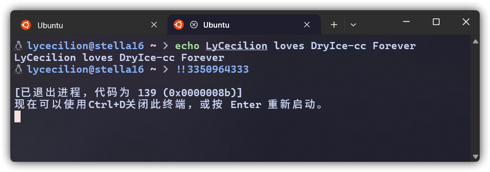 零音在终端里输入完 !!3350964333 后终端直接飞了，错误码 0x8b