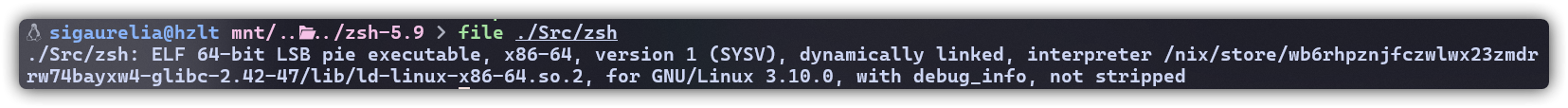 这次编译好的 zsh 带了符号表